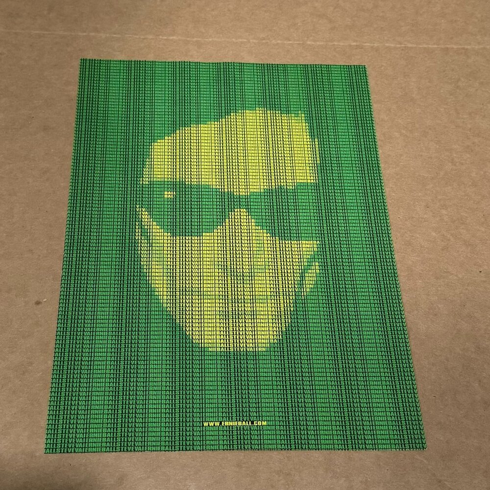 Steve Vai - Ernie Ball - 2005 Print Advertisement